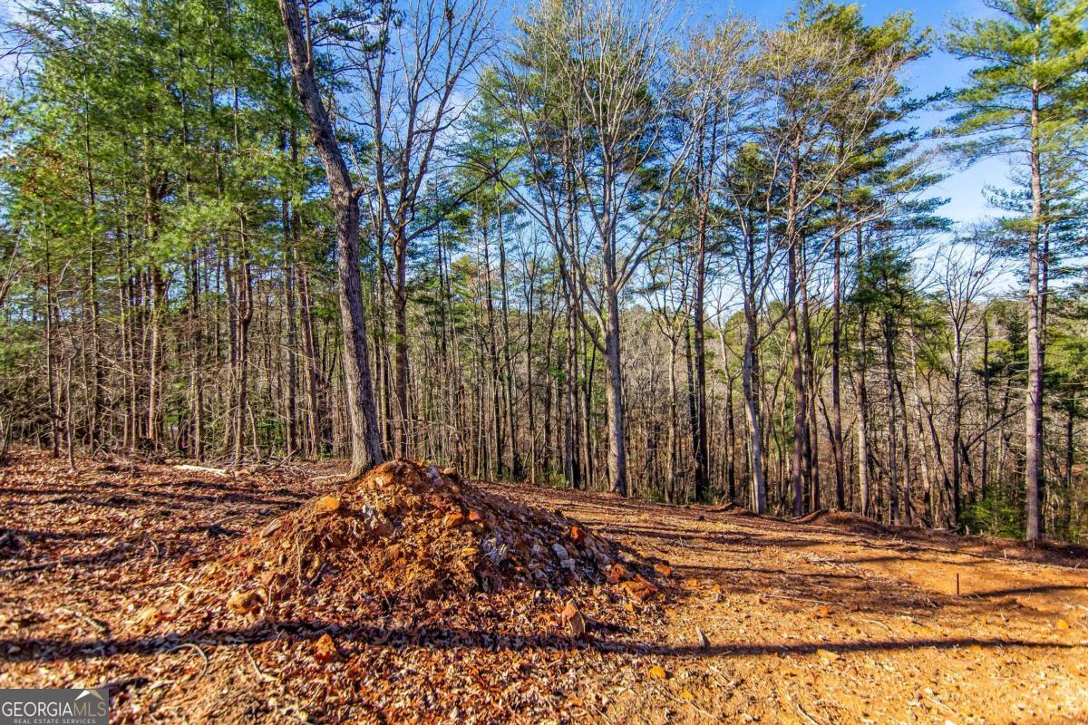6.44 Whispering Oaks Drive Ellijay GA 30540