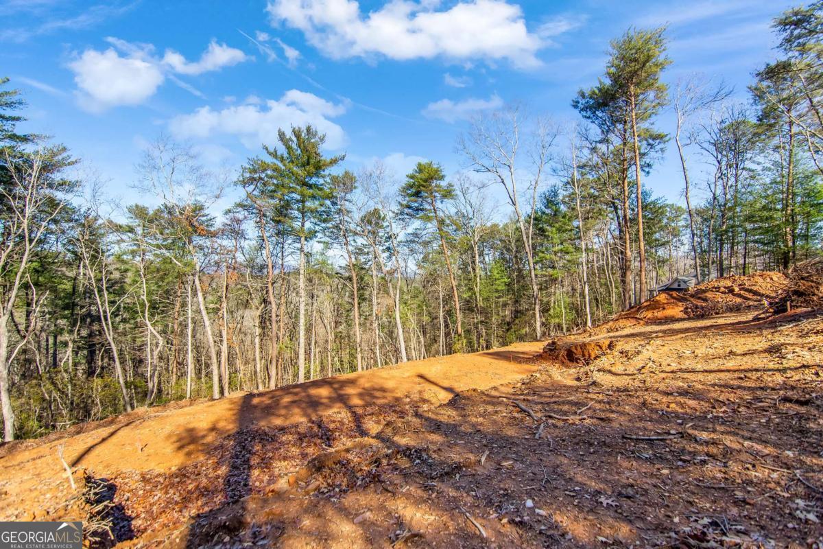 6.44 Whispering Oaks Drive Ellijay GA 30540