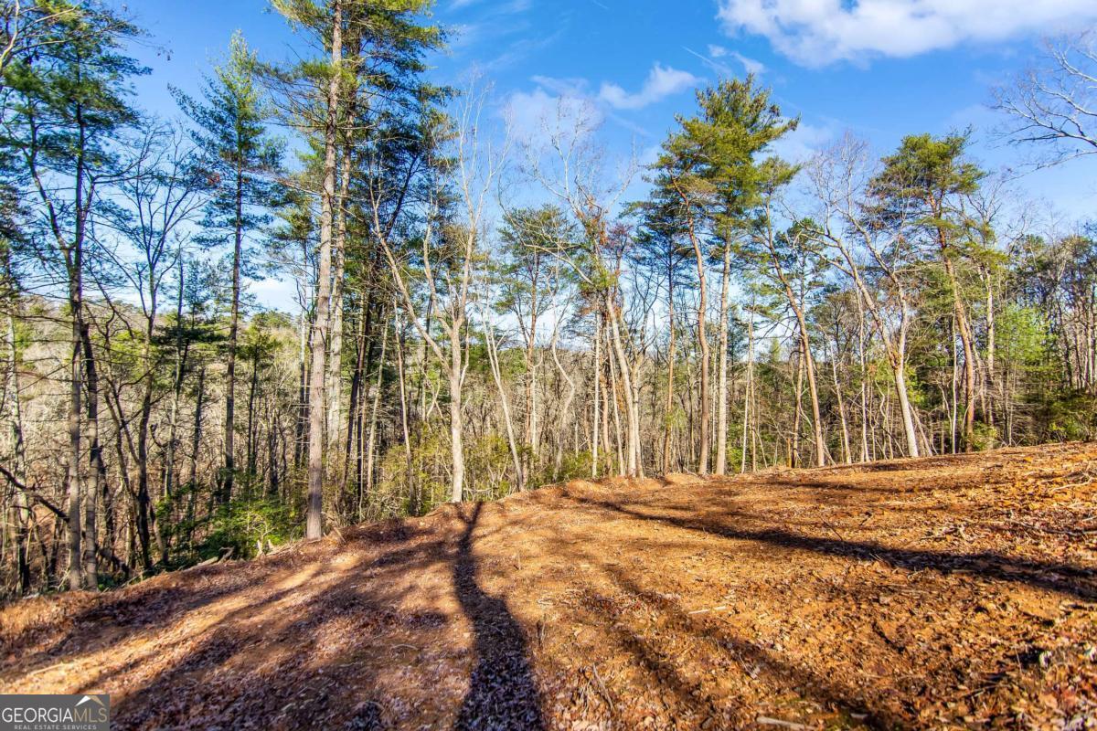 6.44 Whispering Oaks Drive Ellijay GA 30540