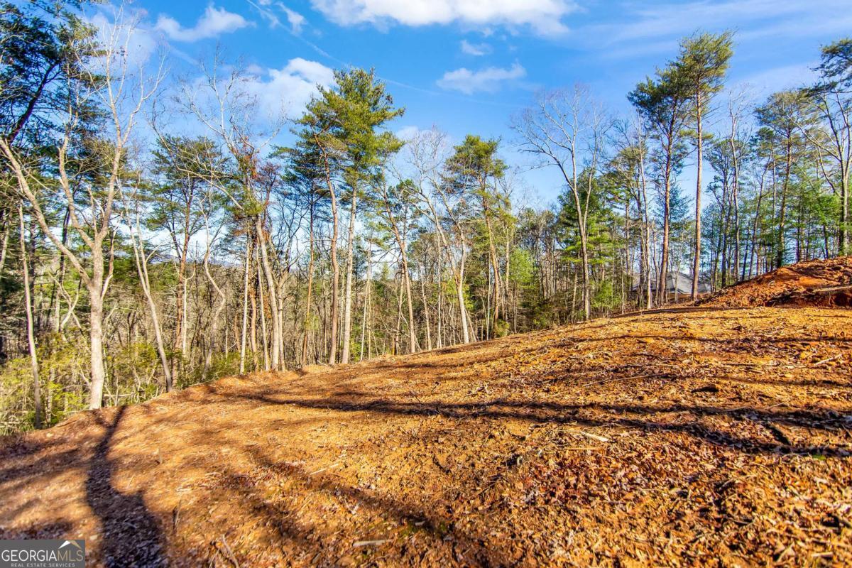 6.44 Whispering Oaks Drive Ellijay GA 30540