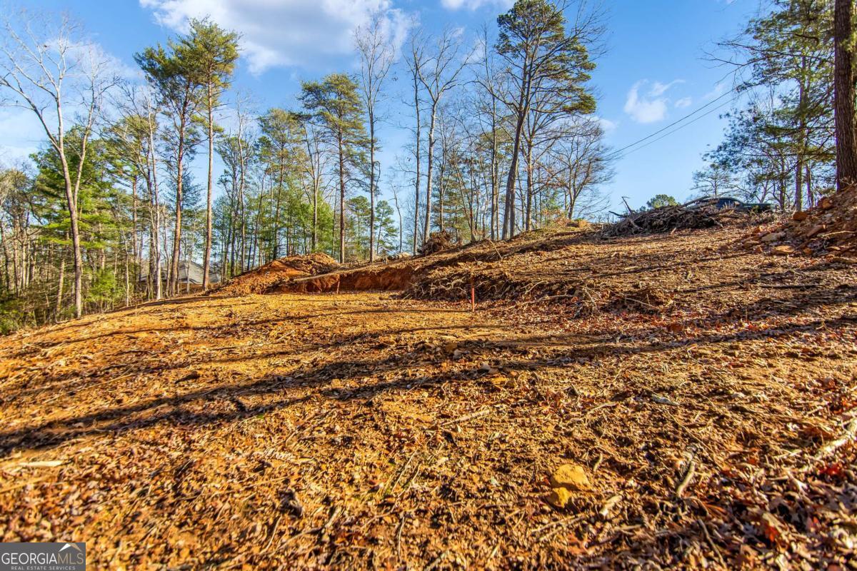 6.44 Whispering Oaks Drive Ellijay GA 30540