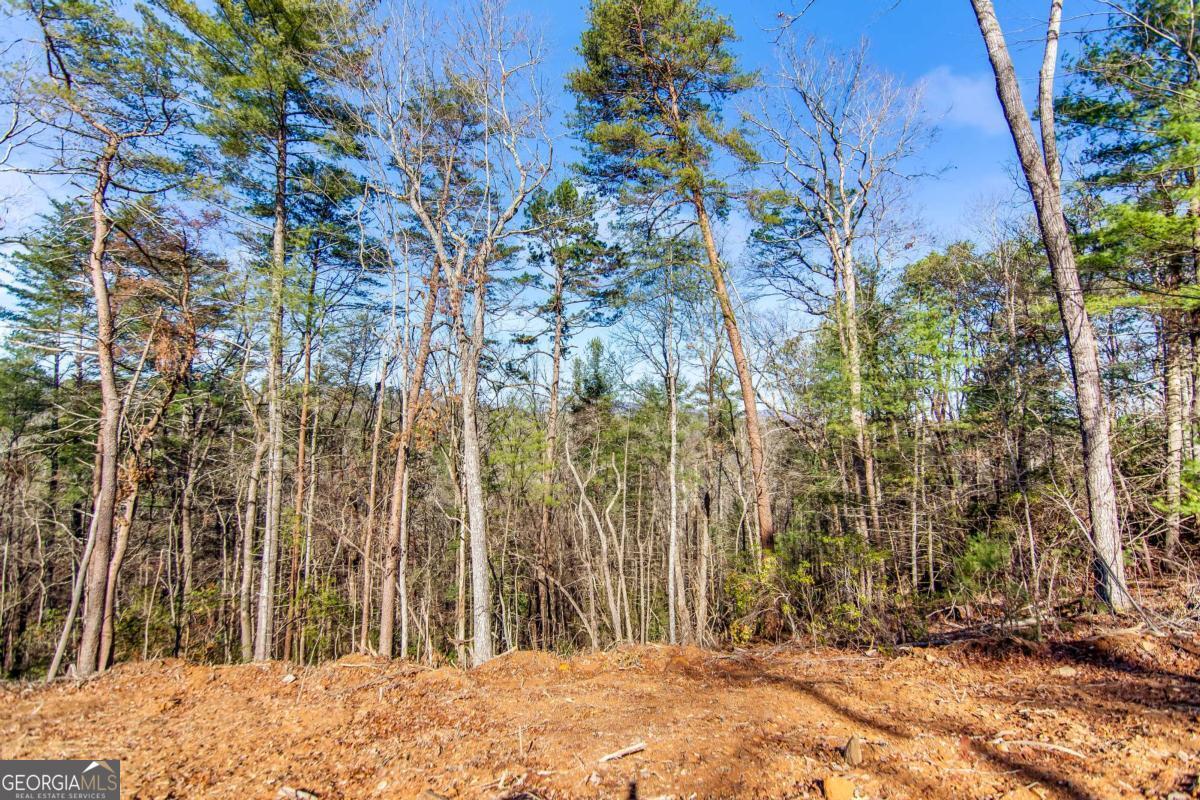 6.44 Whispering Oaks Drive Ellijay GA 30540