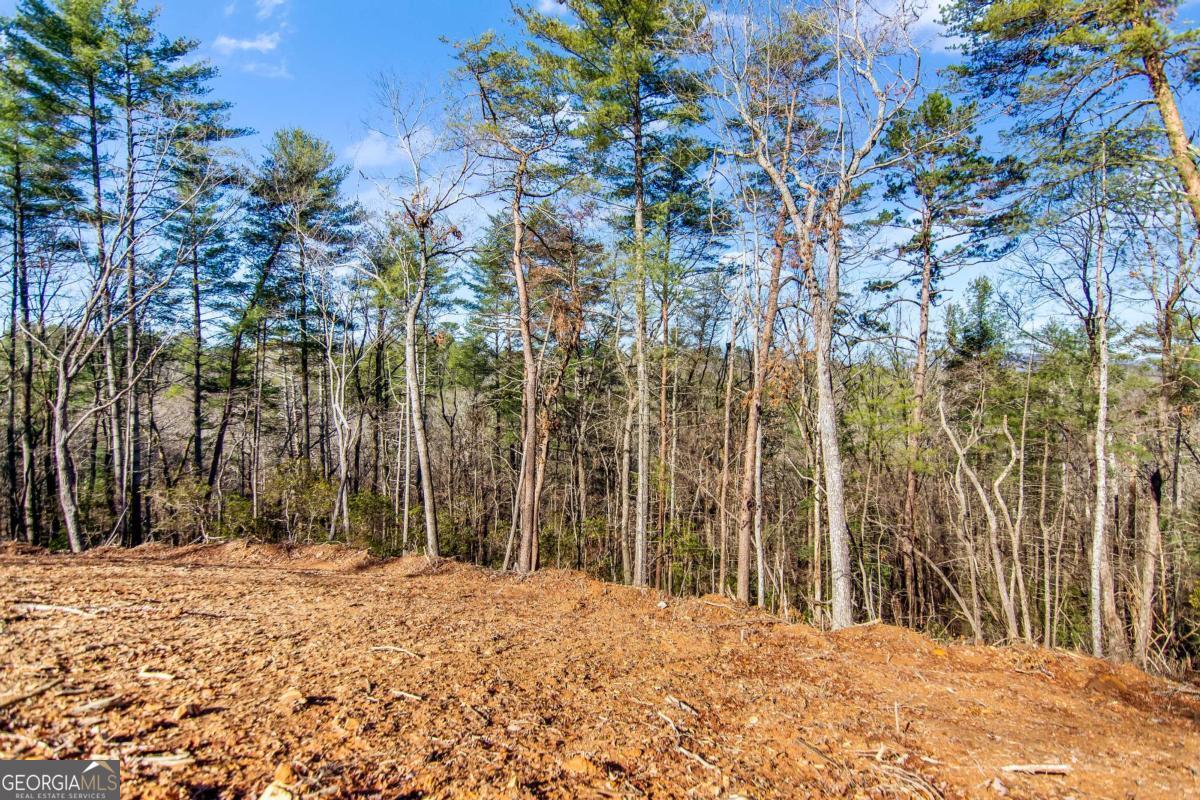6.44 Whispering Oaks Drive Ellijay GA 30540
