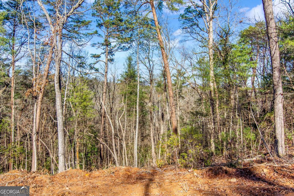 6.44 Whispering Oaks Drive Ellijay GA 30540
