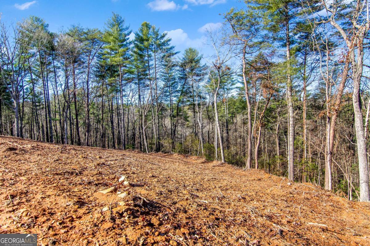 6.44 Whispering Oaks Drive Ellijay GA 30540