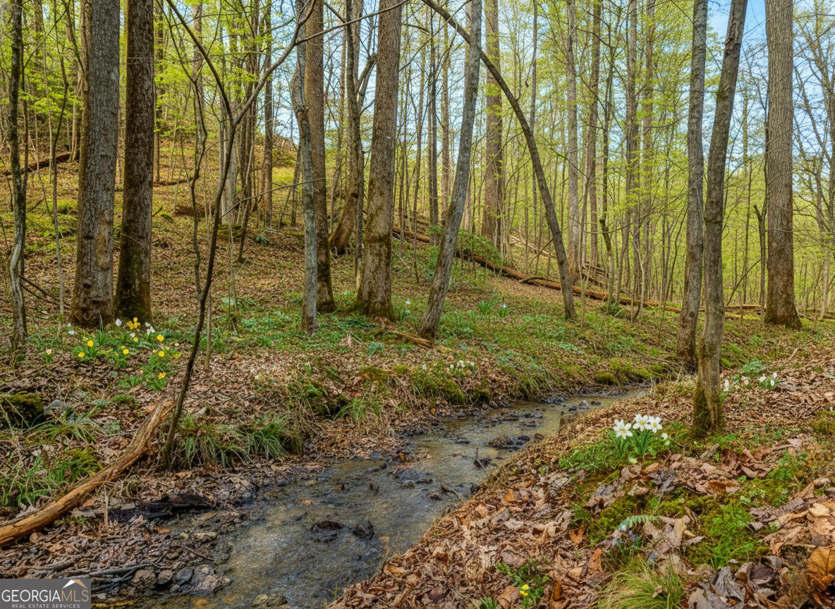6.44 Whispering Oaks Drive Ellijay GA 30540