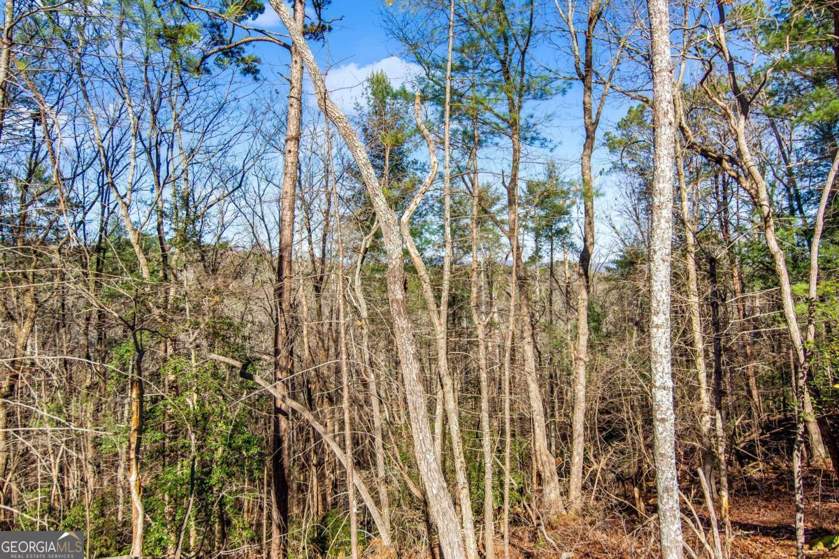 6.44 Whispering Oaks Drive Ellijay GA 30540