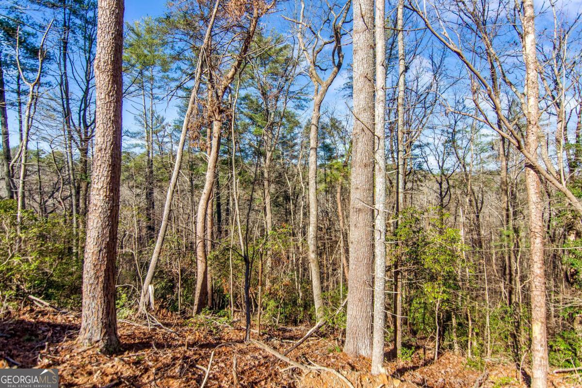 6.44 Whispering Oaks Drive Ellijay GA 30540