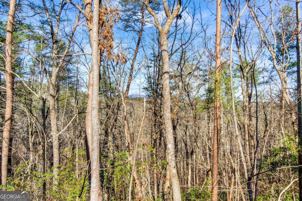 6.44 Whispering Oaks Drive Ellijay GA 30540