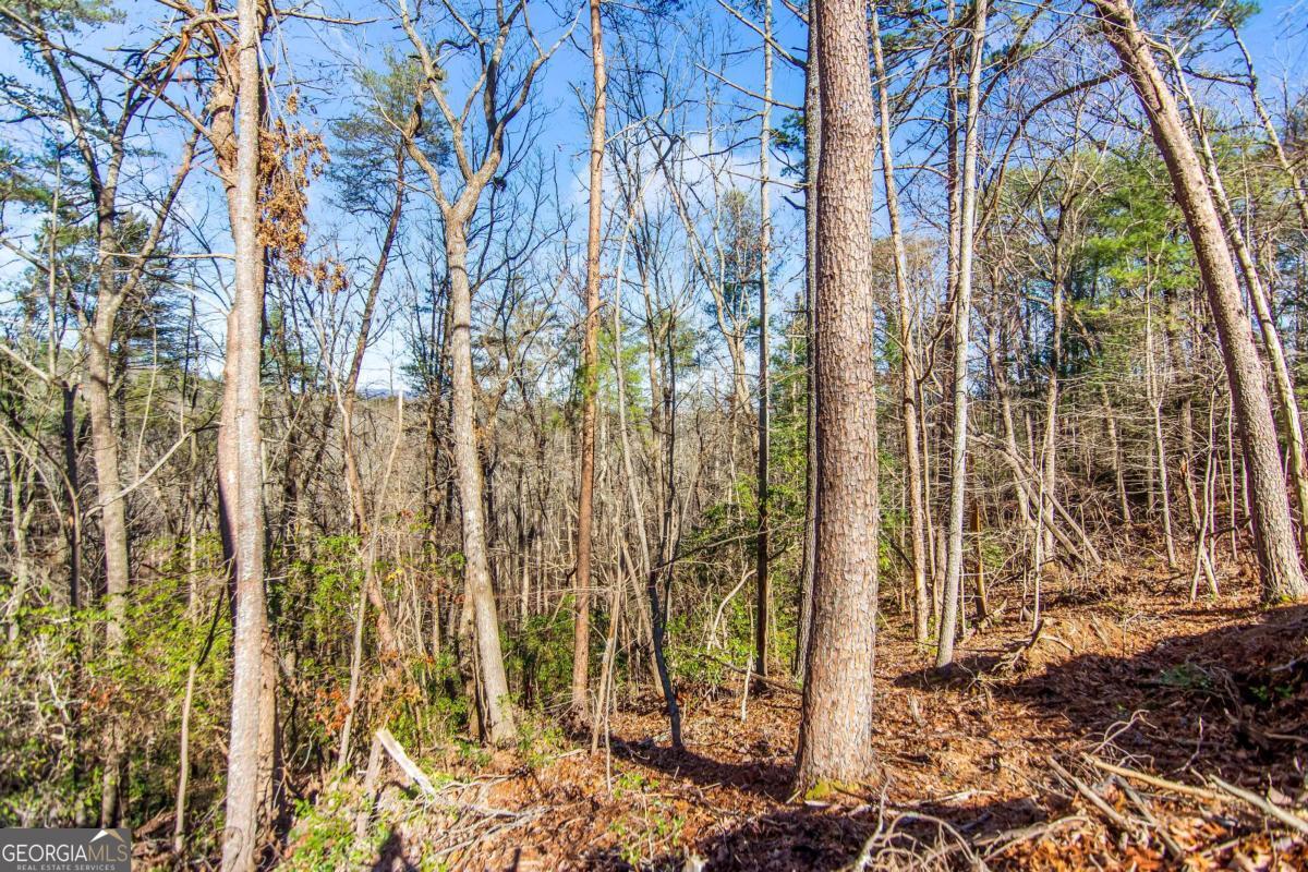 6.44 Whispering Oaks Drive Ellijay GA 30540