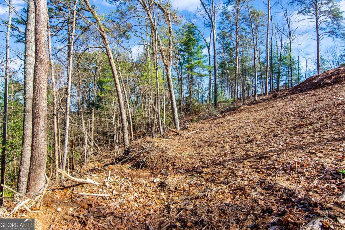 6.44 Whispering Oaks Drive Ellijay GA 30540