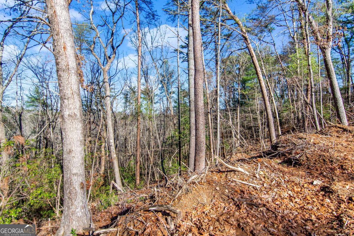 6.44 Whispering Oaks Drive Ellijay GA 30540