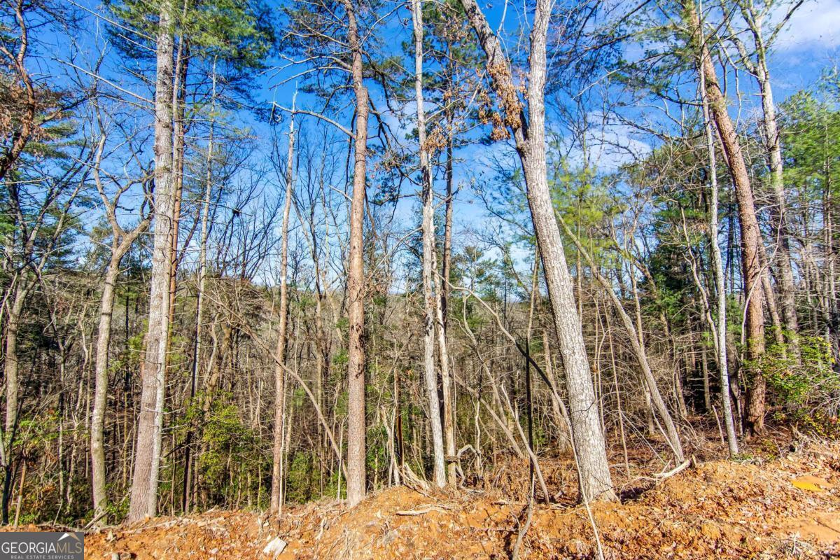6.44 Whispering Oaks Drive Ellijay GA 30540