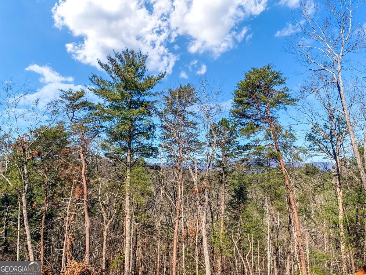 6.44 Whispering Oaks Drive Ellijay GA 30540