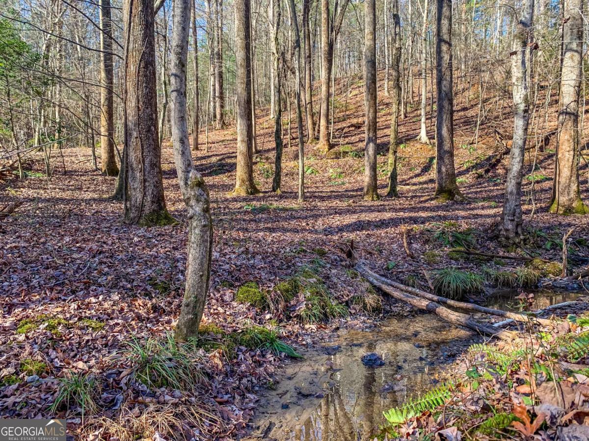 6.44 Whispering Oaks Drive Ellijay GA 30540