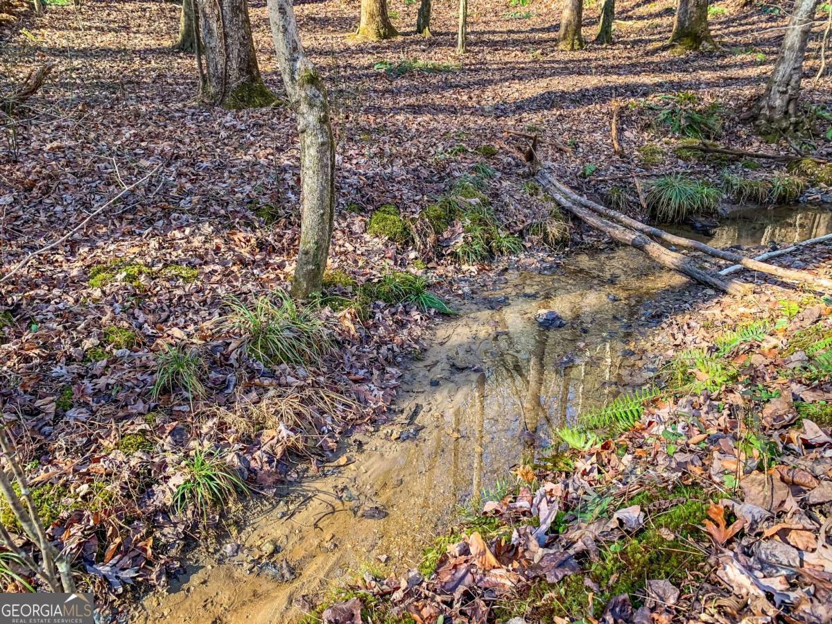 6.44 Whispering Oaks Drive Ellijay GA 30540