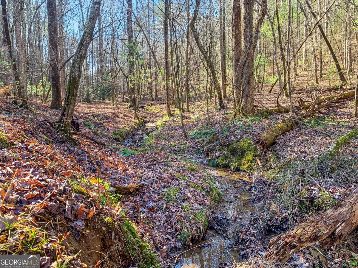 6.44 Whispering Oaks Drive Ellijay GA 30540