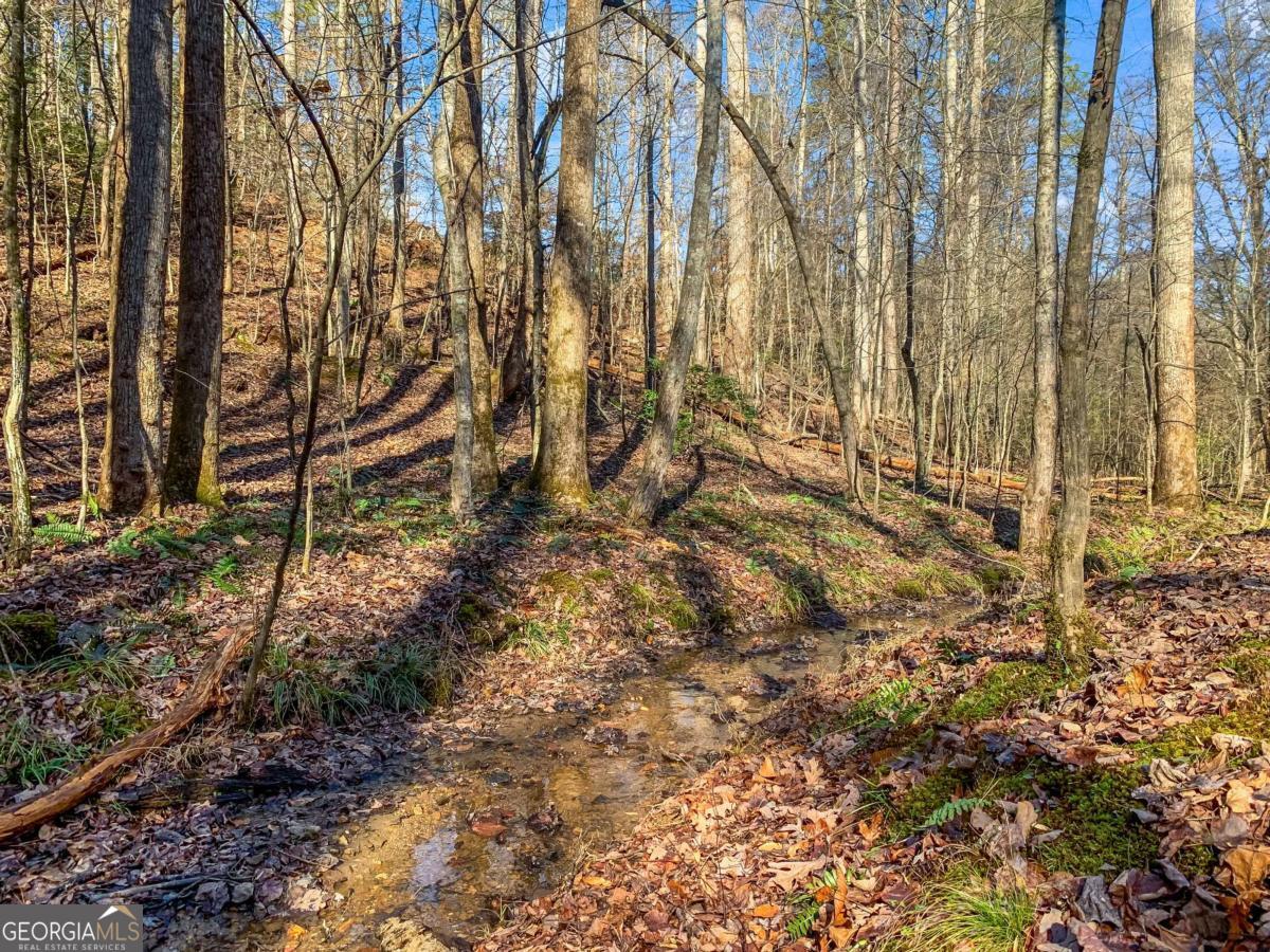 6.44 Whispering Oaks Drive Ellijay GA 30540
