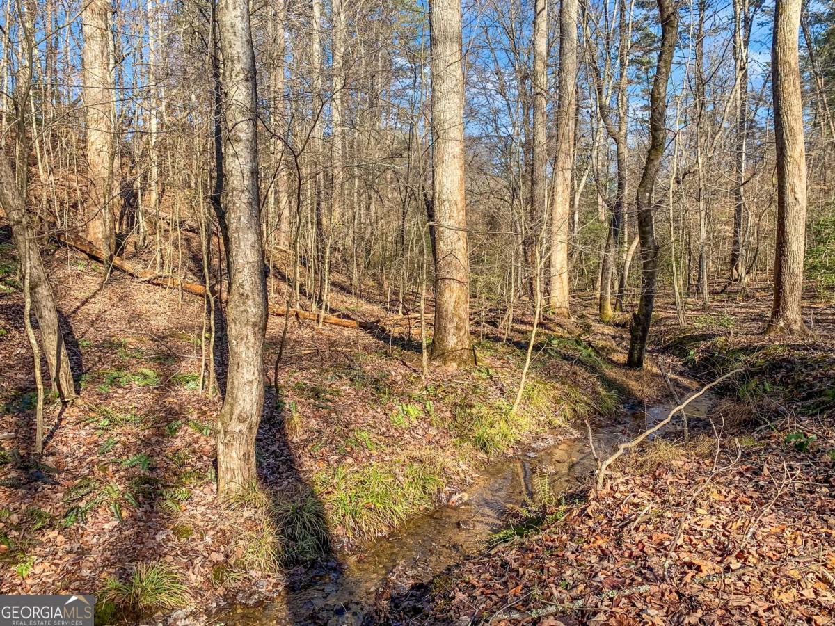 6.44 Whispering Oaks Drive Ellijay GA 30540