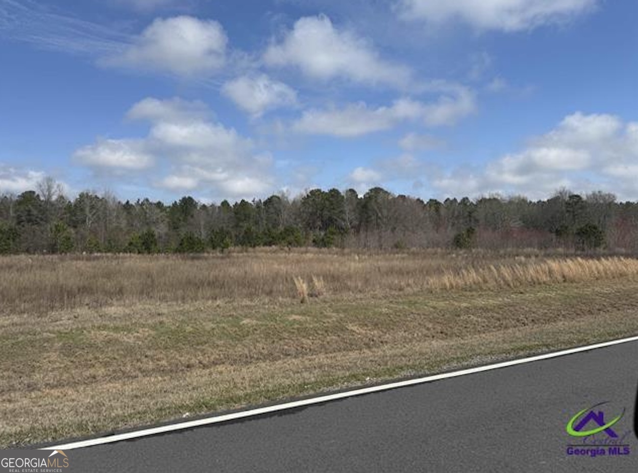 0 Whitfield Road Elko GA 31025