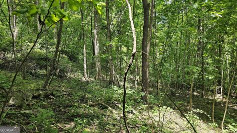 0 Winding View Drive Clayton GA 30525