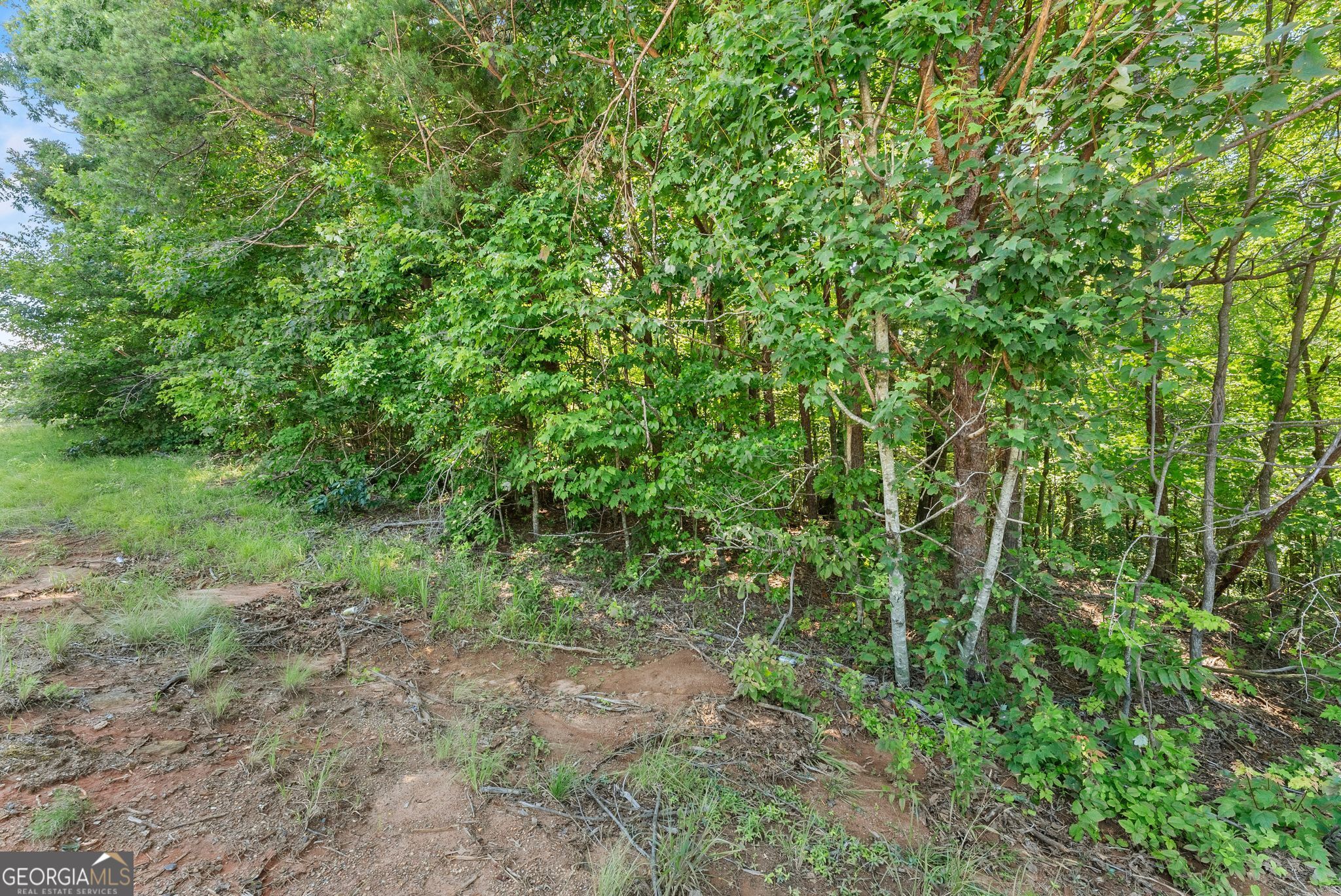 0 Highway 384 Cleveland GA 30528