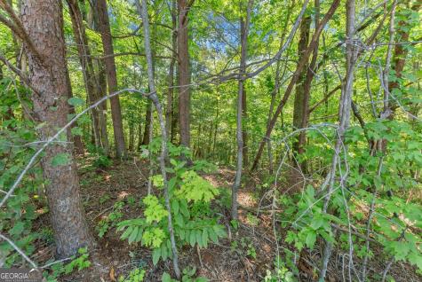 0 Highway 384 Cleveland GA 30528