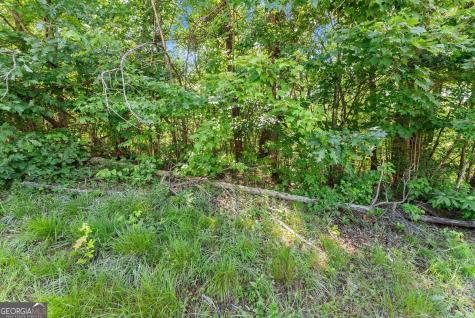 0 Highway 384 Cleveland GA 30528