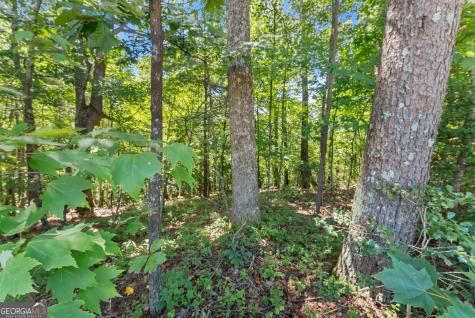 0 Highway 384 Cleveland GA 30528