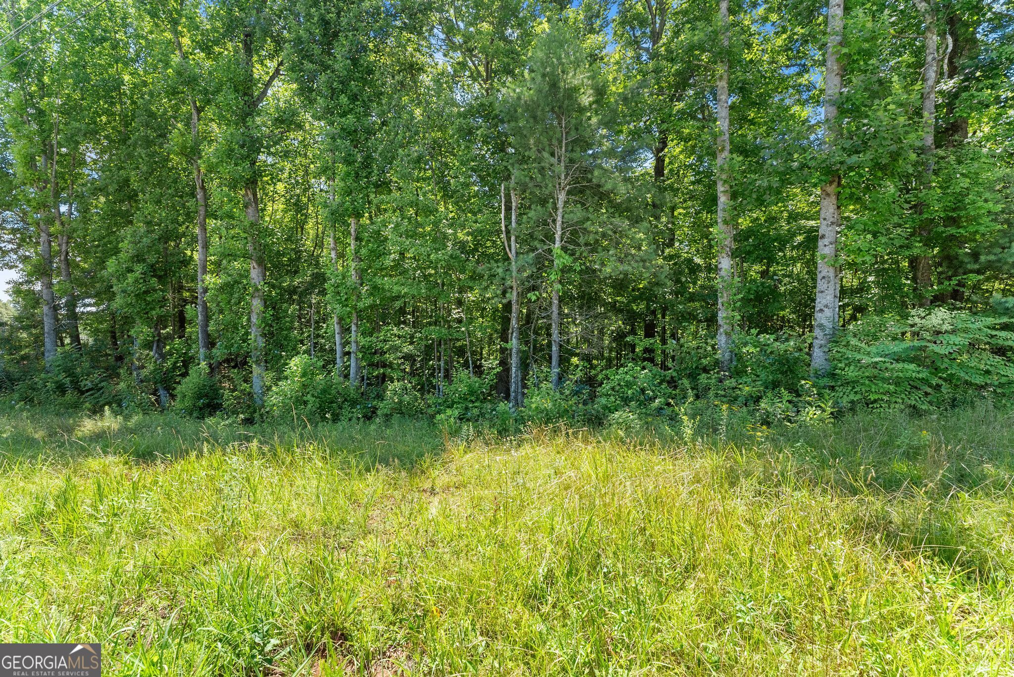 0 Highway 384 Cleveland GA 30528