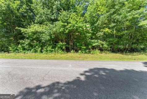 0 Highway 384 Cleveland GA 30528