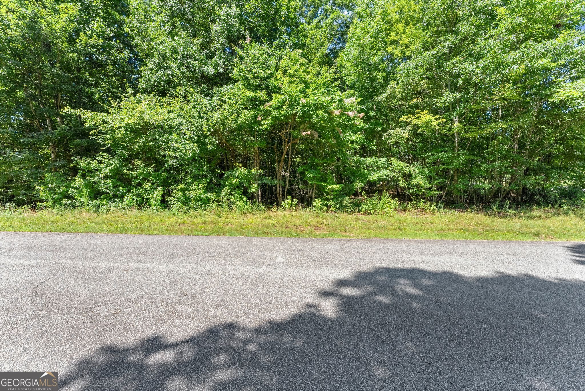 0 Highway 384 Cleveland GA 30528
