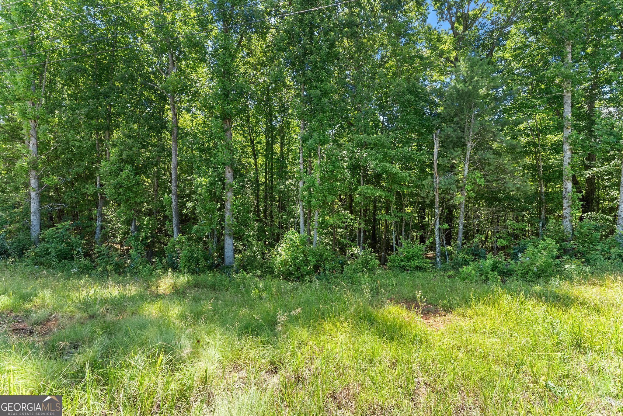 0 Highway 384 Cleveland GA 30528