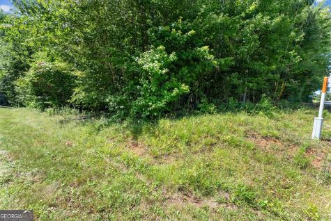 0 Highway 384 Cleveland GA 30528