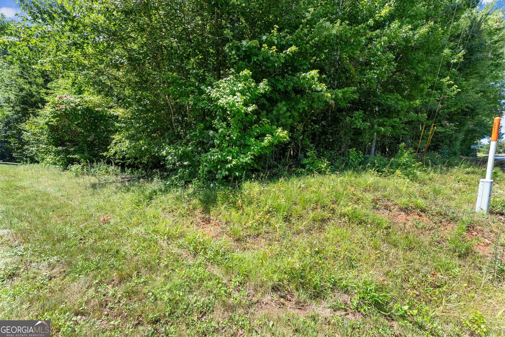0 Highway 384 Cleveland GA 30528