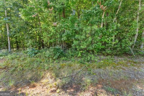 0 Highway 384 Cleveland GA 30528