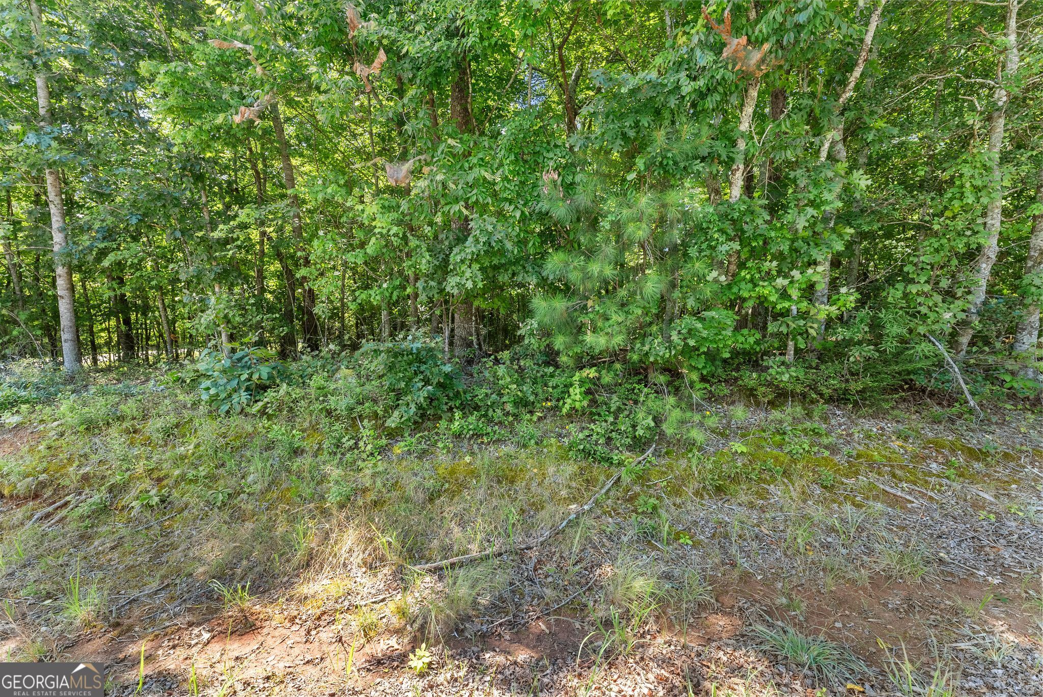 0 Highway 384 Cleveland GA 30528