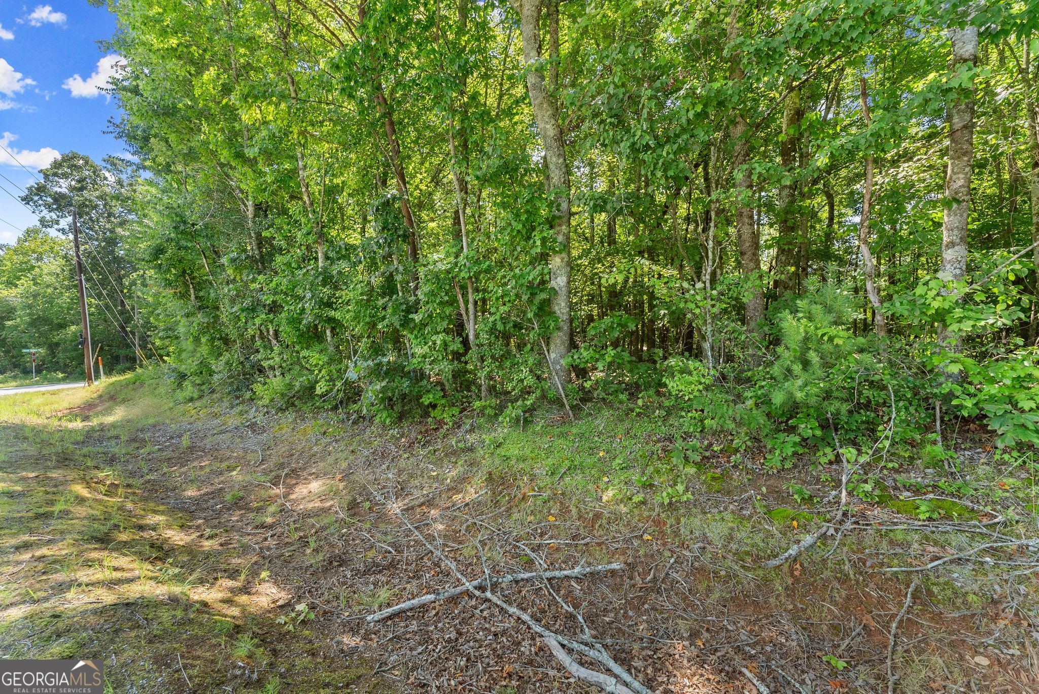 0 Highway 384 Cleveland GA 30528
