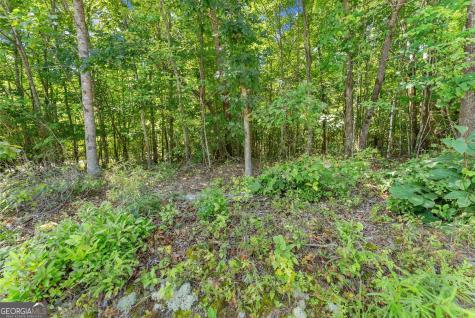 0 Highway 384 Cleveland GA 30528