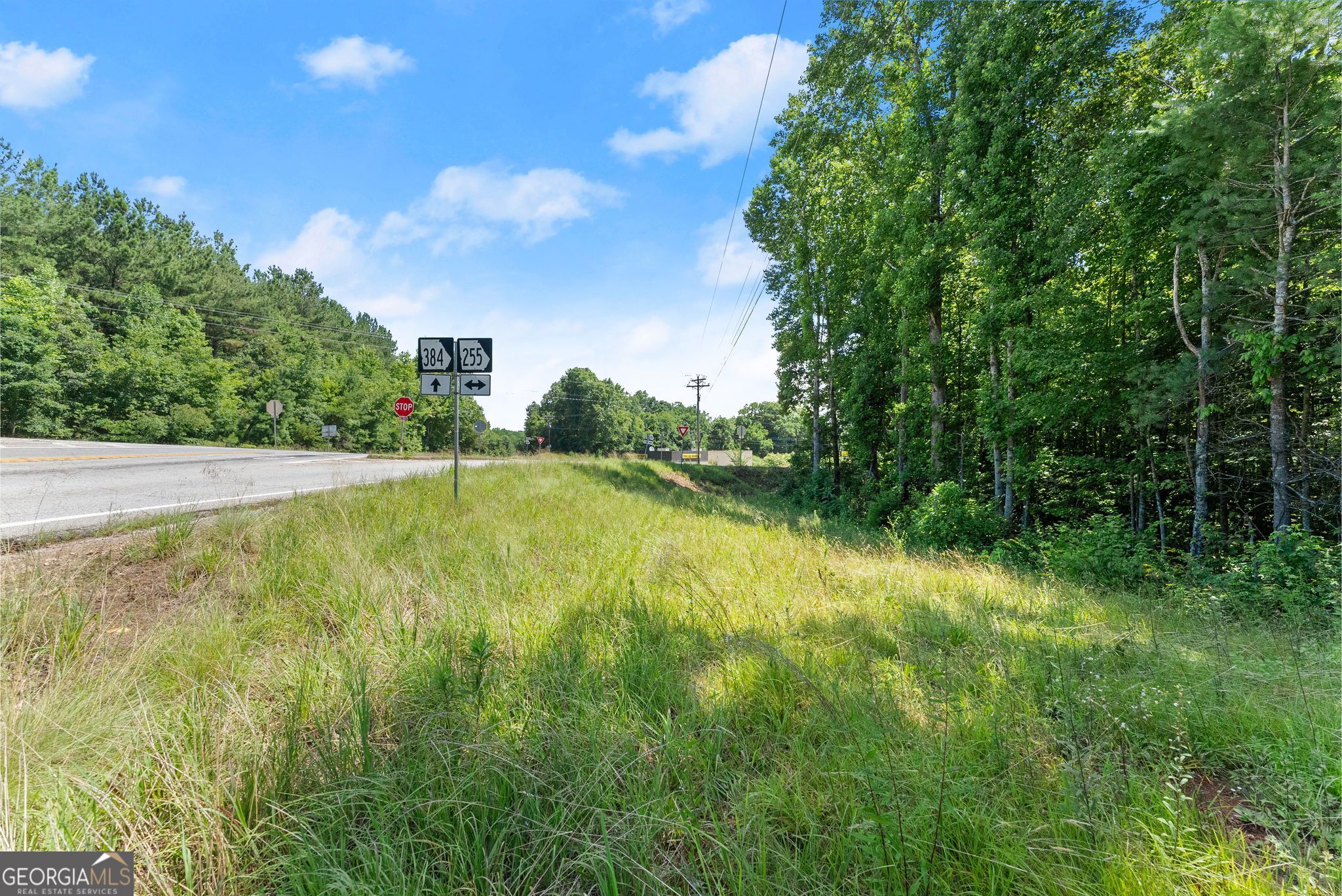 0 Highway 384 Cleveland GA 30528