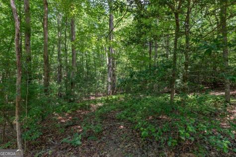5 Ac Solar Drive Blue Ridge GA 30513