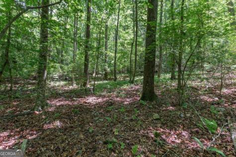 5 Ac Solar Drive Blue Ridge GA 30513