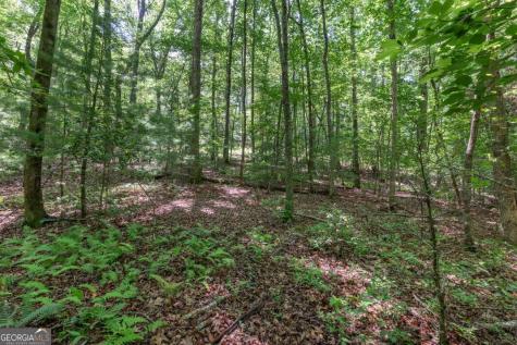 5 Ac Solar Drive Blue Ridge GA 30513