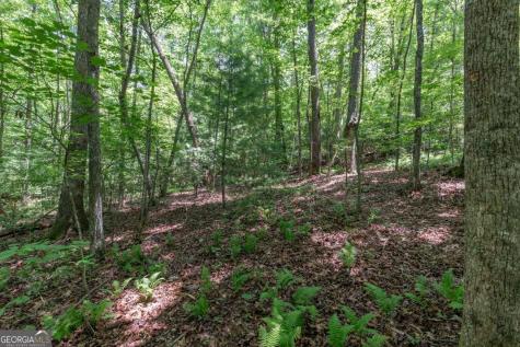 5 Ac Solar Drive Blue Ridge GA 30513