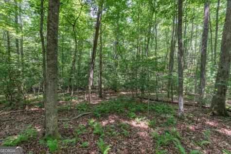 5 Ac Solar Drive Blue Ridge GA 30513