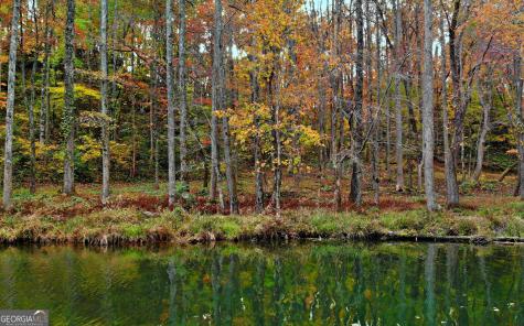 Lot 157 N Laceola Road Cleveland GA 30528