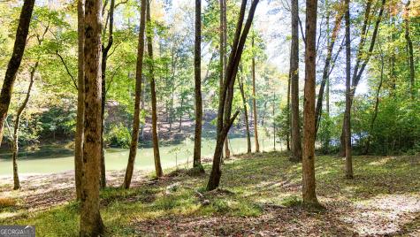 Lot 157 N Laceola Road Cleveland GA 30528