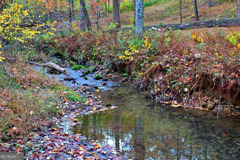 Lot 157 N Laceola Road Cleveland GA 30528