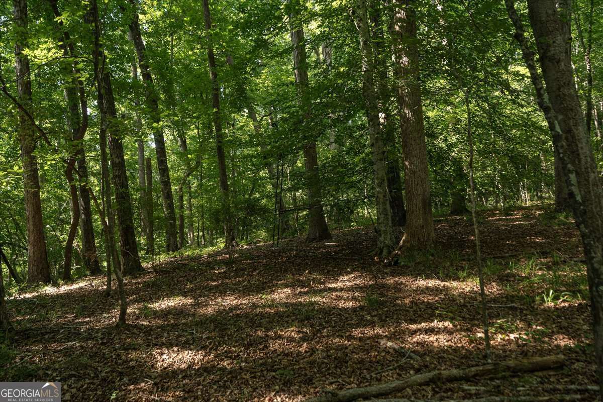 2416 Cleveland Drive Elberton GA 30635