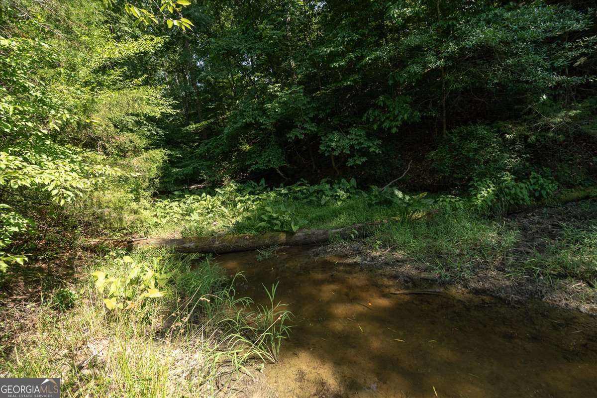 2416 Cleveland Drive Elberton GA 30635